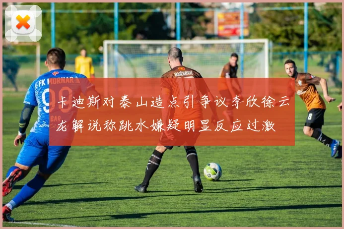卡迪斯对泰山造点引争议李欣徐云龙解说称跳水嫌疑明显反应过激